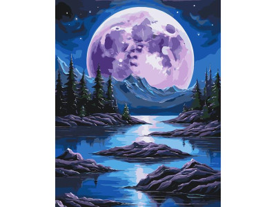 Картина за номерами ArtCraft Нічна магія 40х50 см (11059-AC)