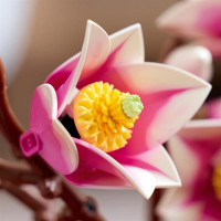 Конструктор LEGO® Botanicals Гілки магнолії 435 Деталей (11510) Конструктор LEGO® Botanicals Гілки магнолії 435 Деталей (11510)