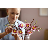 Конструктор LEGO® Botanicals Гілки магнолії 435 Деталей (11510) Конструктор LEGO® Botanicals Гілки магнолії 435 Деталей (11510)