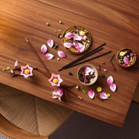 Конструктор LEGO® Botanicals Гілки магнолії 435 Деталей (11510) Конструктор LEGO® Botanicals Гілки магнолії 435 Деталей (11510)