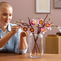 Конструктор LEGO® Botanicals Гілки магнолії 435 Деталей (11510) Конструктор LEGO® Botanicals Гілки магнолії 435 Деталей (11510)
