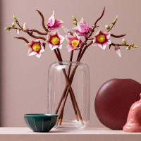 Конструктор LEGO® Botanicals Гілки магнолії 435 Деталей (11510) Конструктор LEGO® Botanicals Гілки магнолії 435 Деталей (11510)