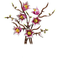Конструктор LEGO® Botanicals Гілки магнолії 435 Деталей (11510) Конструктор LEGO® Botanicals Гілки магнолії 435 Деталей (11510)