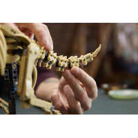 Конструктор LEGO® Jurassic World Скам'янілості динозаврів: трицератопс, 1154 деталей (77985) Конструктор LEGO® Jurassic World Скам'янілості динозаврів: трицератопс, 1154 деталей (77985)