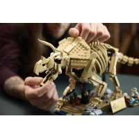 Конструктор LEGO® Jurassic World Скам'янілості динозаврів: трицератопс, 1154 деталей (77985) Конструктор LEGO® Jurassic World Скам'янілості динозаврів: трицератопс, 1154 деталей (77985)