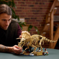 Конструктор LEGO® Jurassic World Скам'янілості динозаврів: трицератопс, 1154 деталей (77985) Конструктор LEGO® Jurassic World Скам'янілості динозаврів: трицератопс, 1154 деталей (77985)