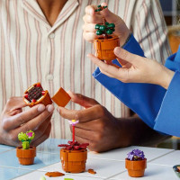 Конструктор LEGO Botanicals Мініатюрні рослини 758 деталей (10329) Конструктор LEGO Botanicals Мініатюрні рослини 758 деталей (10329)