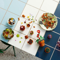 Конструктор LEGO Botanicals Мініатюрні рослини 758 деталей (10329) Конструктор LEGO Botanicals Мініатюрні рослини 758 деталей (10329)