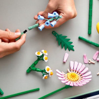 Конструктор LEGO Botanicals Мініатюрний сонячний букет 373 деталі (10347)