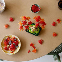 Конструктор LEGO Botanicals Бонсай з японського червоного клена 474 деталі (10348)