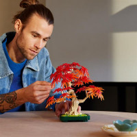 Конструктор LEGO Botanicals Бонсай з японського червоного клена 474 деталі (10348)