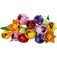 Конструктор LEGO Botanicals Букет тюльпанів 576 Деталей (11501) Конструктор LEGO Botanicals Букет тюльпанів 576 Деталей (11501)