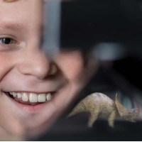 Голографічний проектор своїми руками 4M (00-03394) Голографічний проектор своїми руками 4M (00-03394)