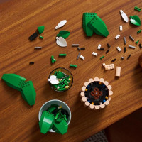 Конструктор LEGO Botanicals Спатифілум 474 Деталей (11504) Конструктор LEGO Botanicals Спатифілум 474 Деталей (11504)
