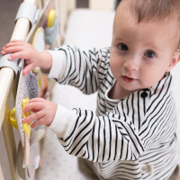 Розвивальний центр для ліжечка Taf Toys Садочок у місті Пізнай світ (13115) Розвивальний центр для ліжечка Taf Toys Садочок у місті Пізнай світ (13115)