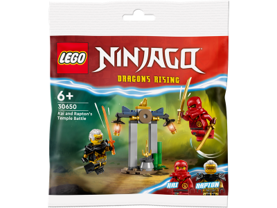 Конструктор LEGO NINJAGO Битва за Храм Кая і Раптона 47 деталей (30650)
