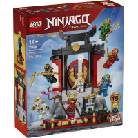 Конструктор LEGO Ninjago Модель персонажів ніндзя. 15-та річниця 447 Деталей (71866)
