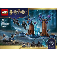Конструктор LEGO® Harry Potter™ Заборонений ліс: Експекто патронум , 244 деталі (76475)