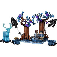 Конструктор LEGO® Harry Potter™ Заборонений ліс: Експекто патронум , 244 деталі (76475)