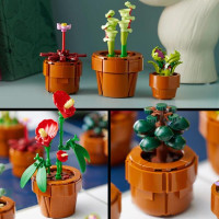 Конструктор LEGO Botanicals Мініатюрні рослини 758 деталей (10329)