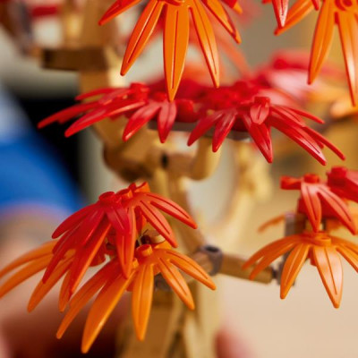 Конструктор LEGO Botanicals Бонсай з японського червоного клена 474 деталі (10348)