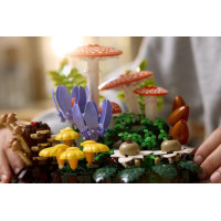 Конструктор LEGO® Botanicals Лісові гриби Набір для конструювання, 806 детал1 (11505)