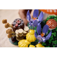 Конструктор LEGO® Botanicals Лісові гриби Набір для конструювання, 806 детал1 (11505)