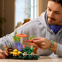 Конструктор LEGO® Botanicals Лісові гриби Набір для конструювання, 806 детал1 (11505)
