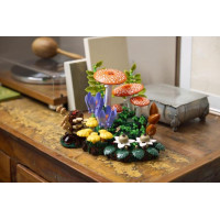 Конструктор LEGO® Botanicals Лісові гриби Набір для конструювання, 806 детал1 (11505)
