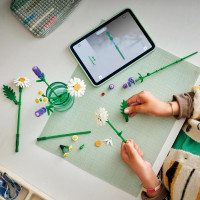 Конструктор LEGO Botanicals Ромашки 133 Деталі (11508) Конструктор LEGO Botanicals Ромашки 133 Деталі (11508)