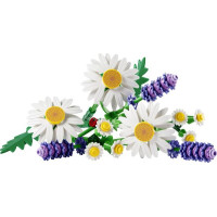Конструктор LEGO Botanicals Ромашки 133 Деталі (11508) Конструктор LEGO Botanicals Ромашки 133 Деталі (11508)