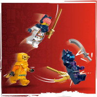 Конструктор LEGO NINJAGO Молодий дракон Рію 132 деталі (71810)
