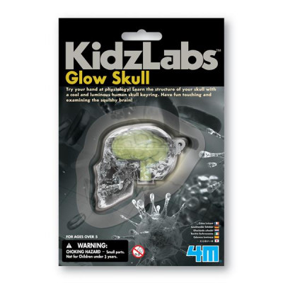 Світний череп 4M (00-03313)