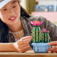 Конструктор LEGO Botanicals Цвітіння кактуса 482 Деталі (11509) Конструктор LEGO Botanicals Цвітіння кактуса 482 Деталі (11509)