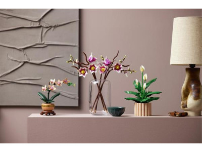 Конструктор LEGO® Botanicals Гілки магнолії 435 Деталей (11510) Конструктор LEGO® Botanicals Гілки магнолії 435 Деталей (11510)