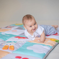 Дитячий ігровий килимок Taf Toys Мої захоплення 100х150 см (12175)