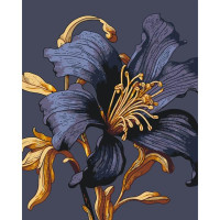 Картина за номерами ArtCraft Таємнича лілія з металізованими фарбами 40х50 см (13151-AC)