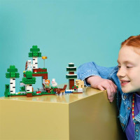 Конструктор LEGO® Minecraft® Пригода першої ночі Конструктор, 301 деталь (21593) Конструктор LEGO® Minecraft® Пригода першої ночі Конструктор, 301 деталь (21593)