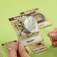 Набір для розкопок 4M Комахи (00-03397)