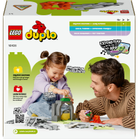 Конструктор LEGO DUPLO Залізничний тунель і колії дод. набір 20 деталей (10425)