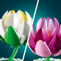 Конструктор LEGO® Botanicals Латаття Квітковий набір для конструювання, 259 деталей (11511)
