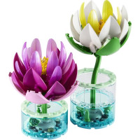 Конструктор LEGO® Botanicals Латаття Квітковий набір для конструювання, 259 деталей (11511)