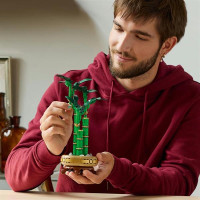 Конструктор LEGO Botanicals Бамбук щастя 325 деталей (10344)