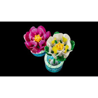 Конструктор LEGO® Botanicals Латаття Квітковий набір для конструювання, 259 деталей (11511)