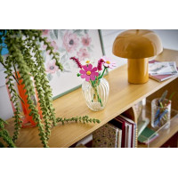 Конструктор LEGO® Botanicals Квіти космеї Набір для коструювання, 171 деталь (11514)