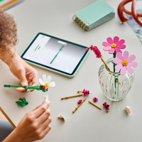 Конструктор LEGO® Botanicals Квіти космеї Набір для коструювання, 171 деталь (11514)
