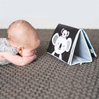 Розвивальна книжка Taf Toys Мрійливі коали Пригоди коали Кіммі (12395) Розвивальна книжка Taf Toys Мрійливі коали Пригоди коали Кіммі (12395)