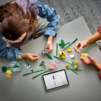 Конструктор LEGO Botanicals Мініатюрний сонячний букет 373 деталі (10347)