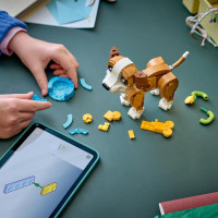 Конструктор LEGO Creator Чарівні тварини: грайливе цуценя 336 Деталей ( 31382 )