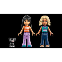 Конструктор LEGO® Friends Будиночок для кемпінгу на природі Іграшка, 295 деталей (42682)